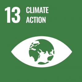 SDG kuvake 13