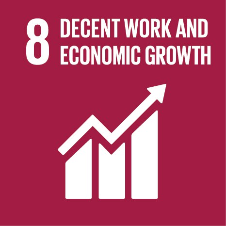 SDG kuvake 8
