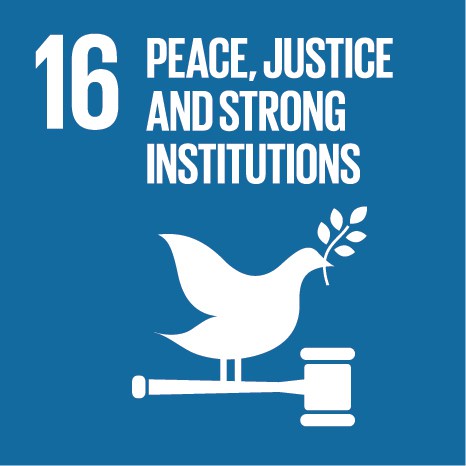 SDG kuvake 16
