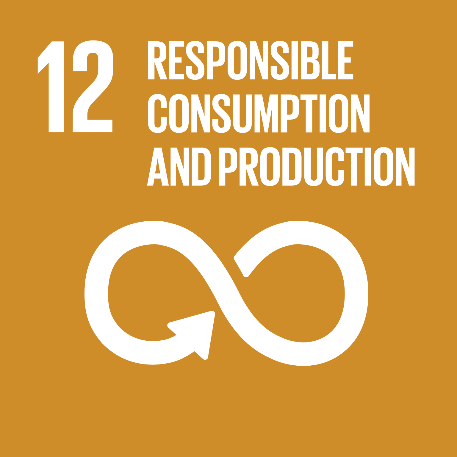 SDG kuvake 12