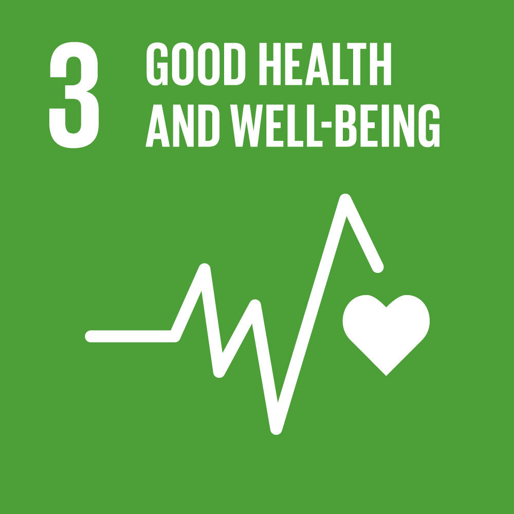 SDG kuvake 3