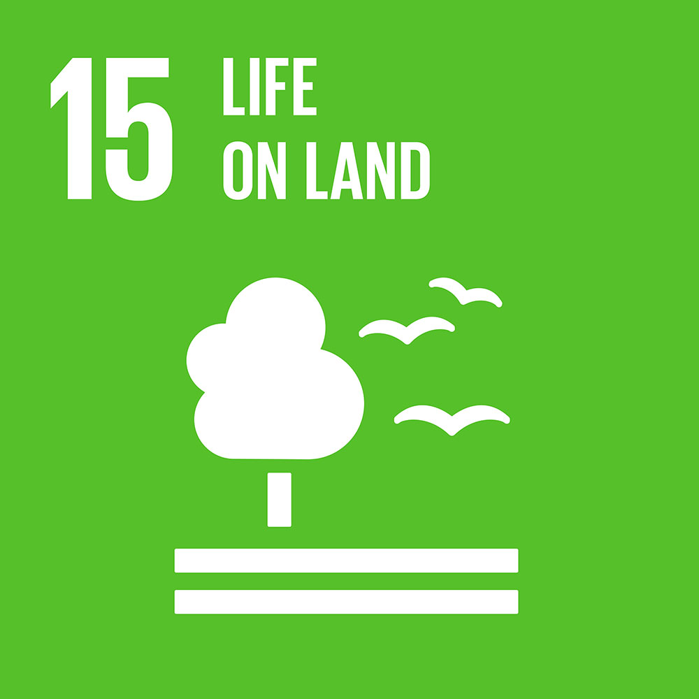 SDG kuvake 15